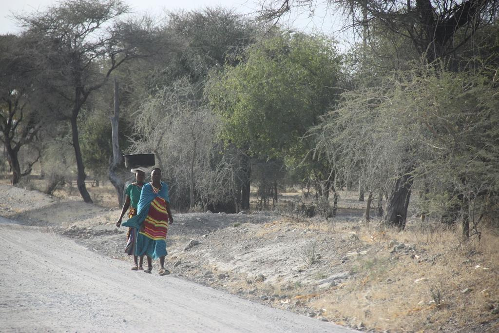 Tanzania. Andrey Filippov Photographer