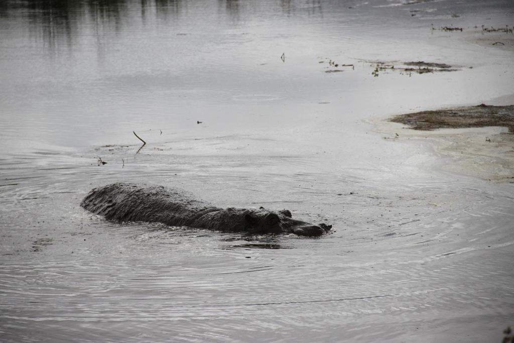 Ngorongoro Conservation Area. Andrey Filippov Photographer