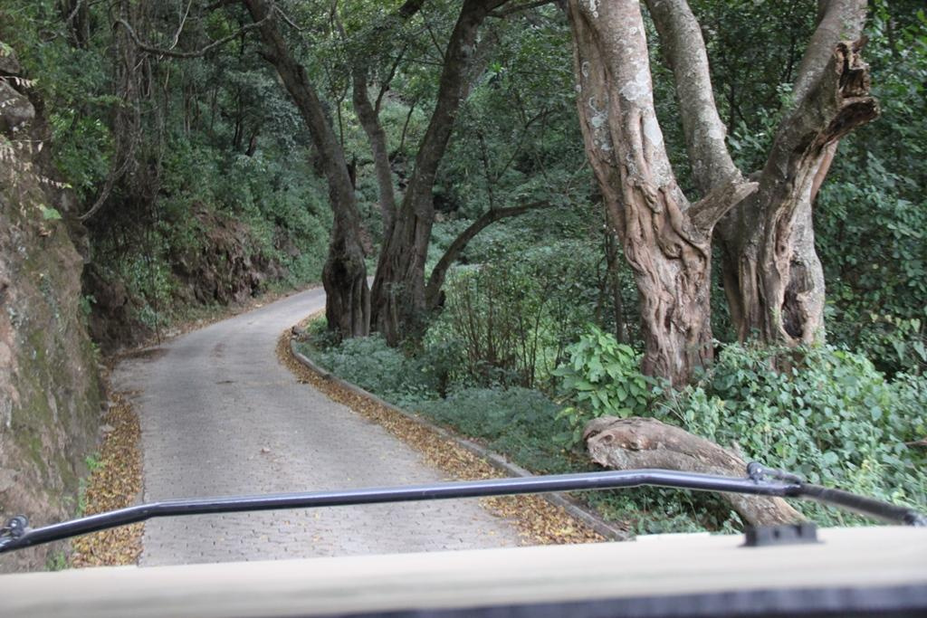 Ngorongoro Conservation Area. Andrey Filippov Photographer