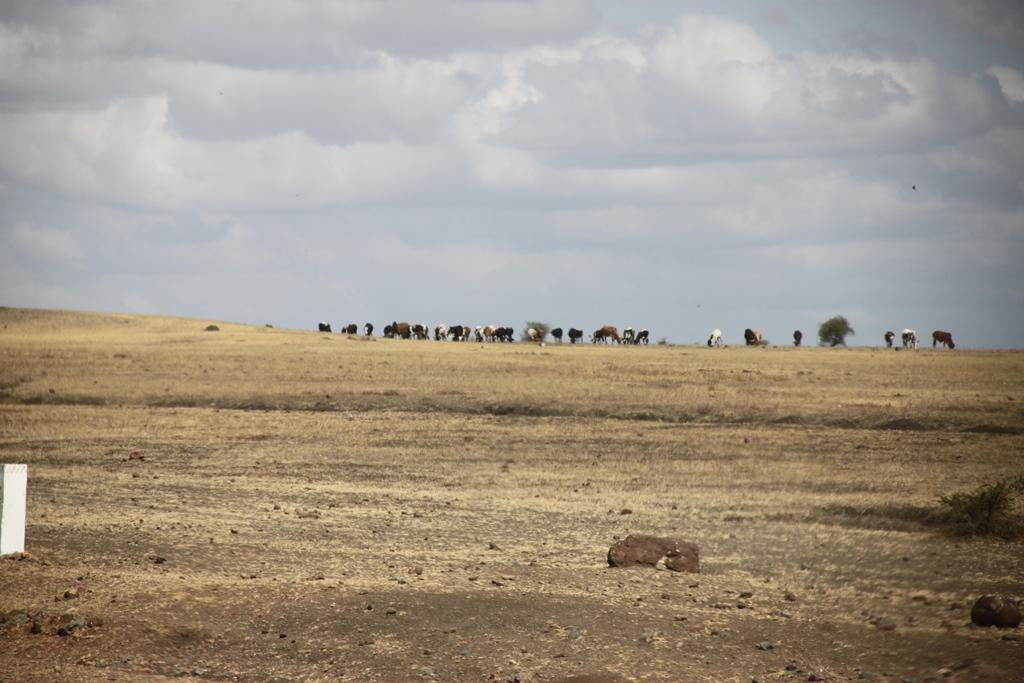 Tanzania. Andrey Filippov Photographer
