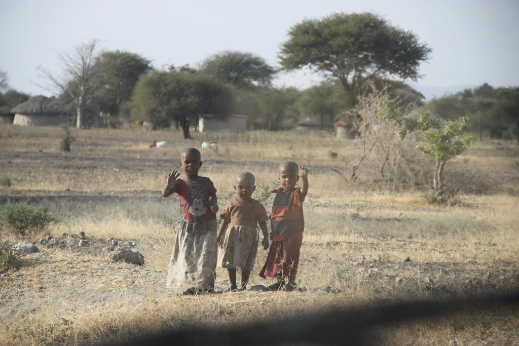 Tanzania. Andrey Filippov Photographer