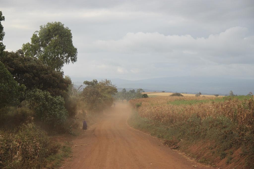 Tanzania. Andrey Filippov Photographer