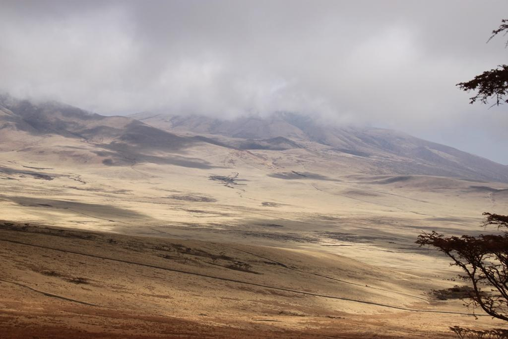 Ngorongoro Conservation Area. Andrey Filippov Photographer