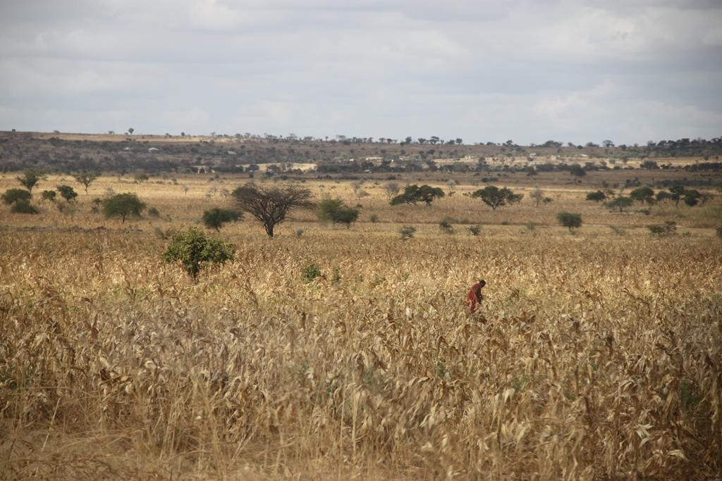 Tanzania. Andrey Filippov Photographer