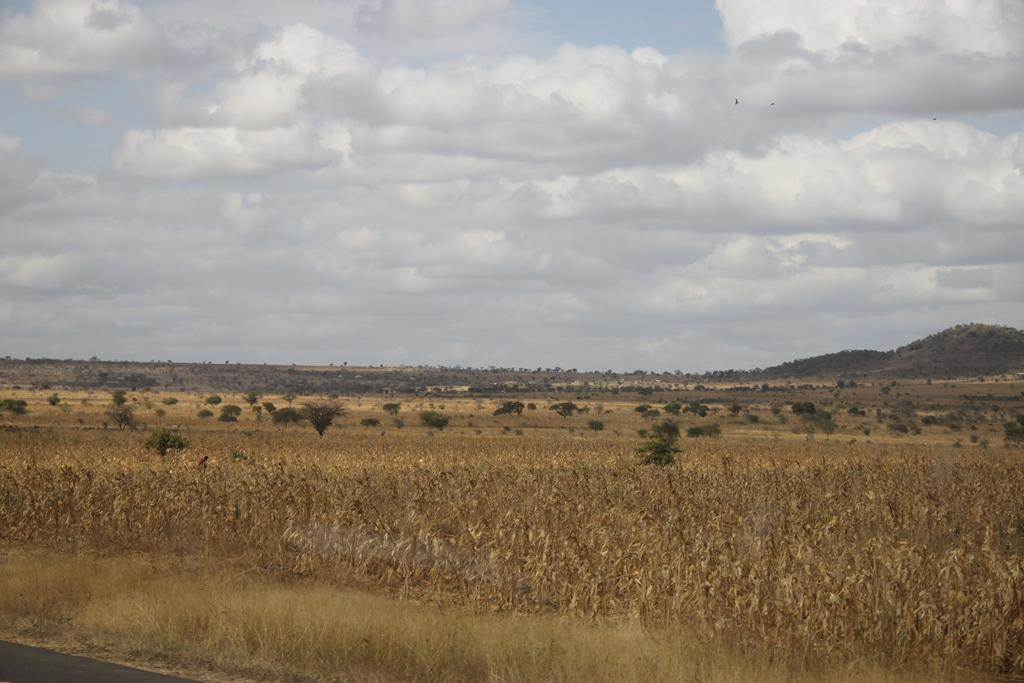 Tanzania. Andrey Filippov Photographer