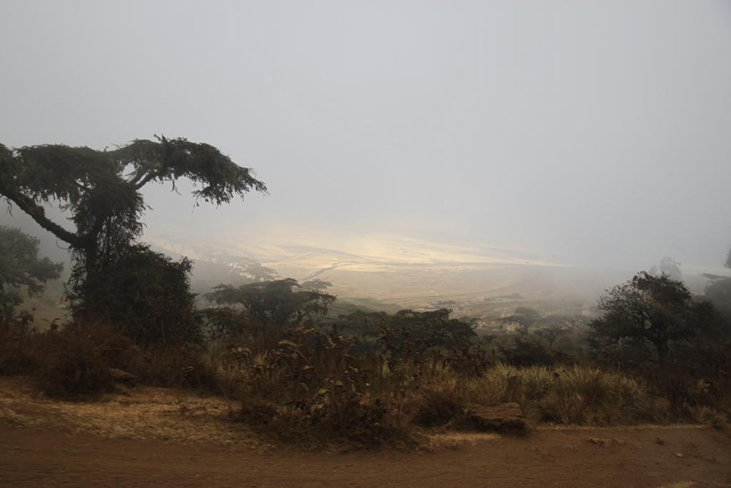 Ngorongoro Conservation Area. Andrey Filippov Photographer