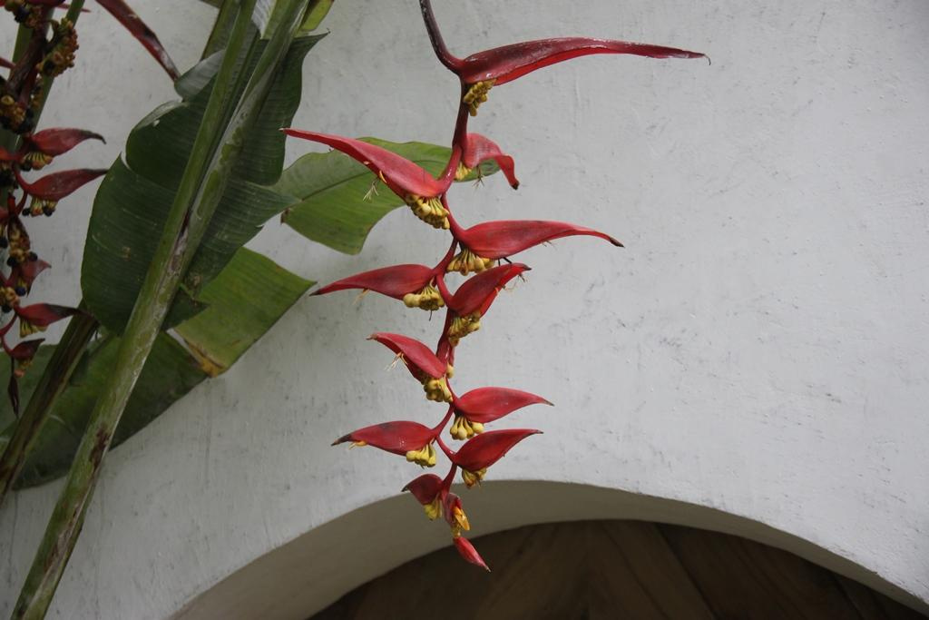 Tanzania. Andrey Filippov Photographer