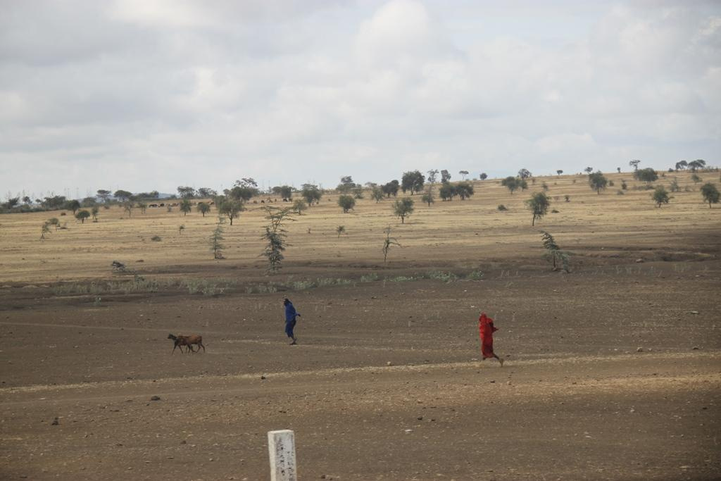 Tanzania. Andrey Filippov Photographer
