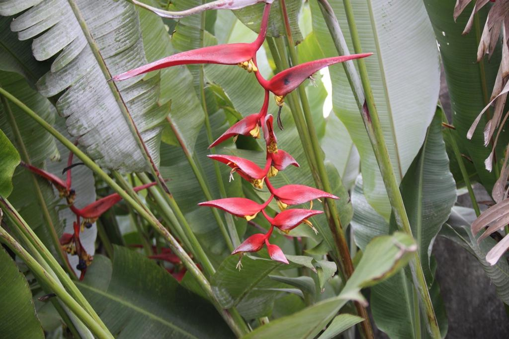 Tanzania. Andrey Filippov Photographer