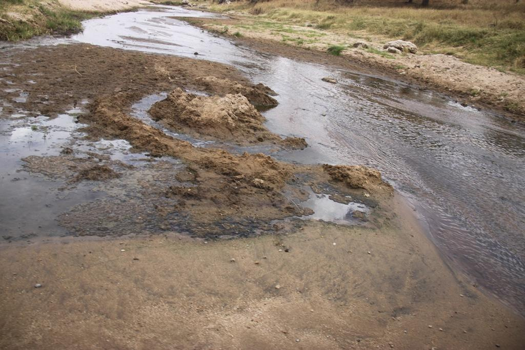 Tarangire National Park Tanzania. Andrey Filippov Photographer