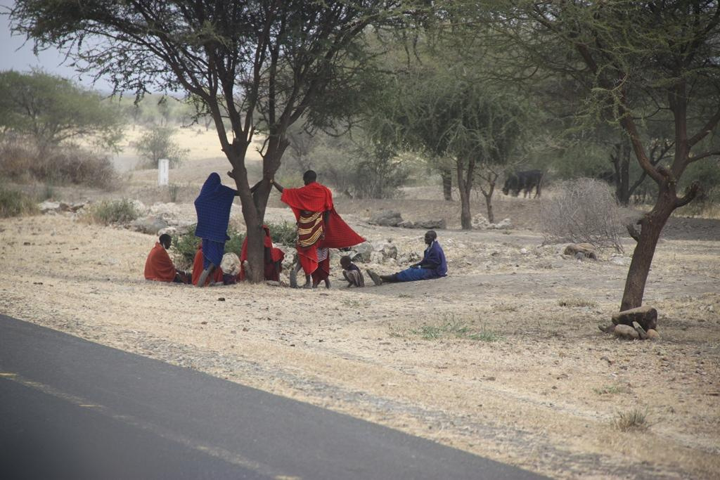 Tanzania. Andrey Filippov Photographer