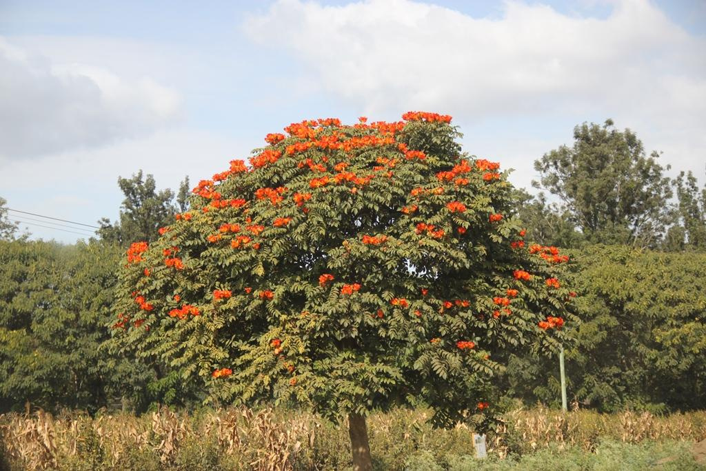 Tanzania. Andrey Filippov Photographer