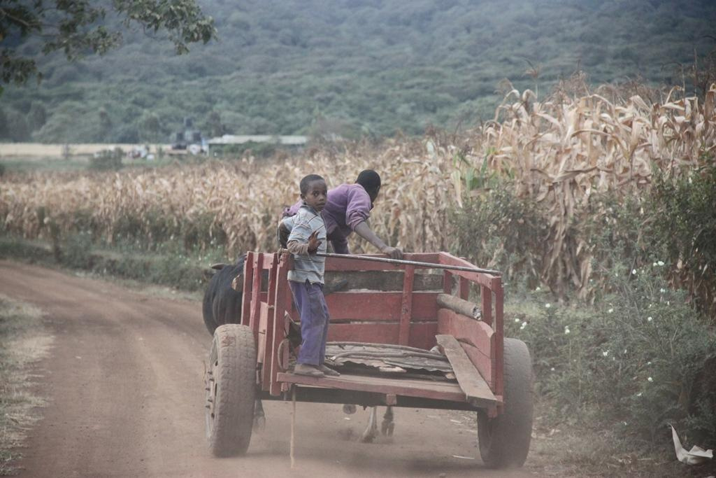 Tanzania. Andrey Filippov Photographer
