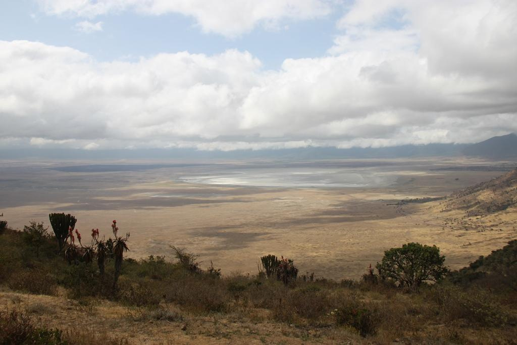 Ngorongoro Conservation Area. Andrey Filippov Photographer
