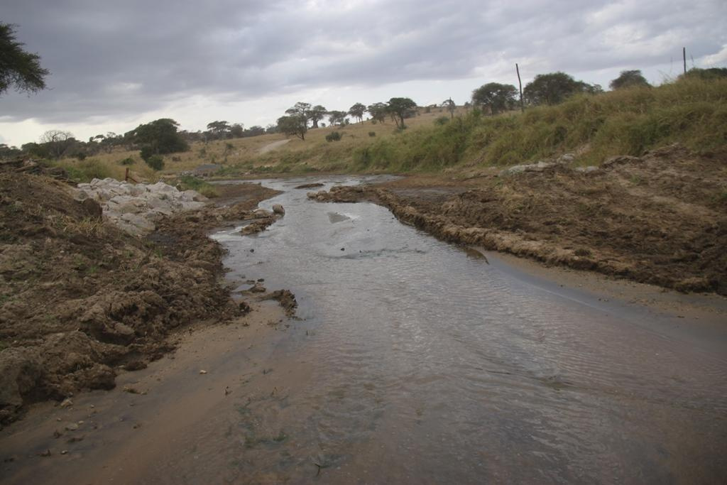 Tarangire National Park Tanzania. Andrey Filippov Photographer