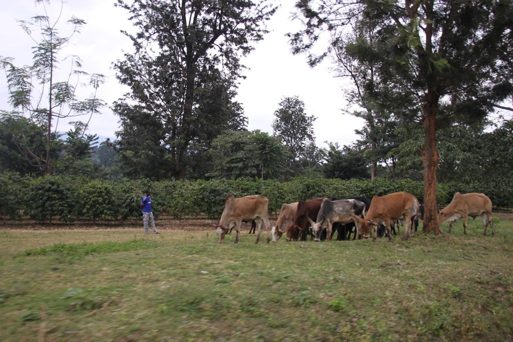 Tanzania. Andrey Filippov Photographer