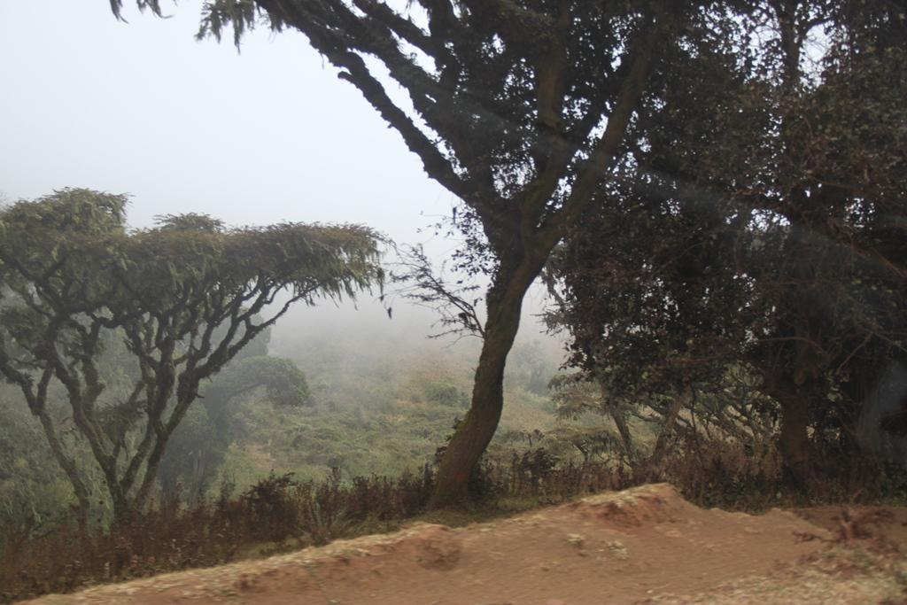 Ngorongoro Conservation Area. Andrey Filippov Photographer