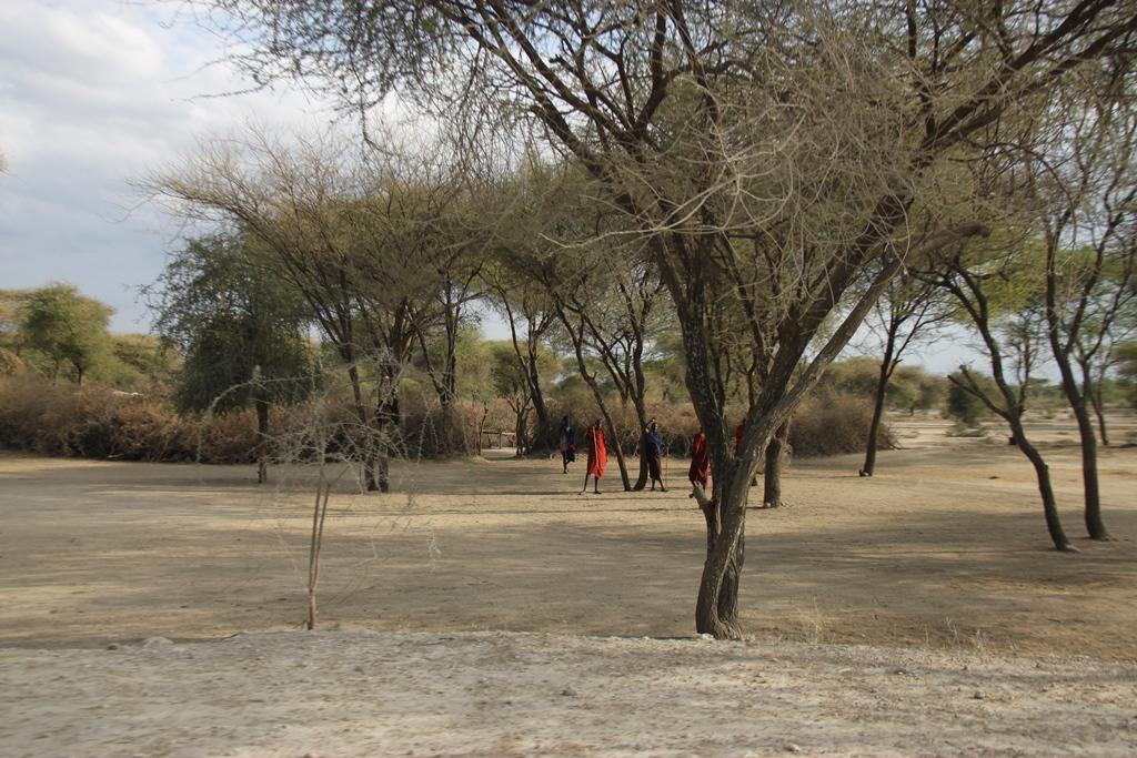 Tanzania. Andrey Filippov Photographer