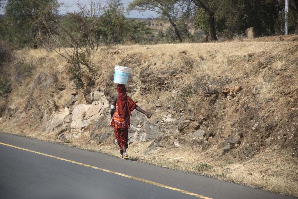 Tanzania. Andrey Filippov Photographer