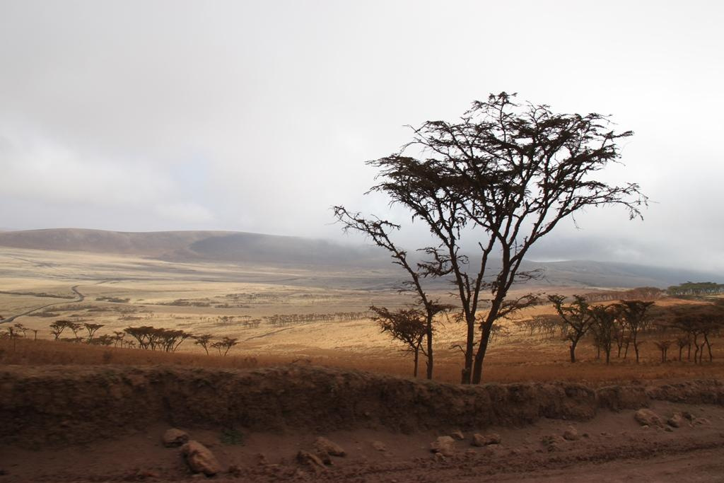 Ngorongoro Conservation Area. Andrey Filippov Photographer