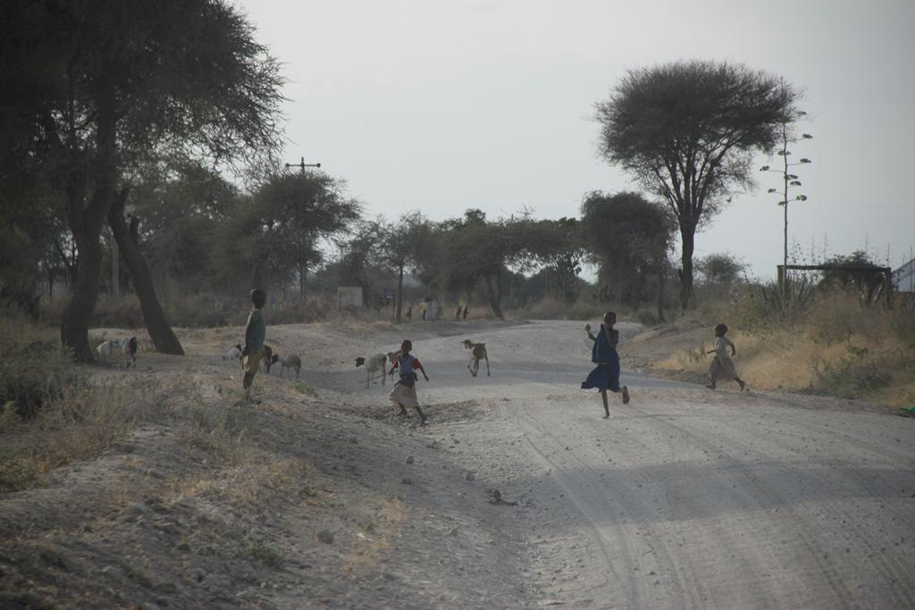 Tanzania. Andrey Filippov Photographer