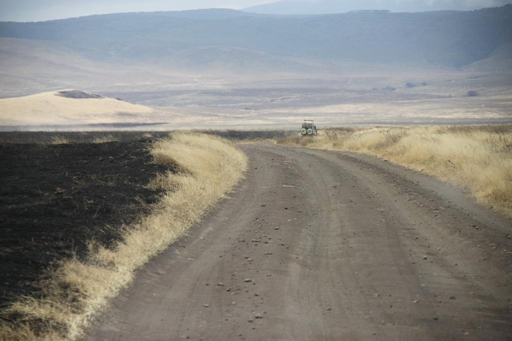 Ngorongoro Conservation Area. Andrey Filippov Photographer