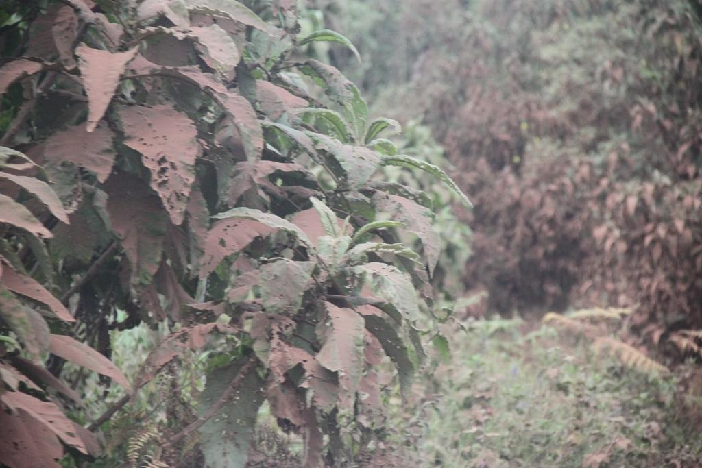 Ngorongoro Conservation Area. Andrey Filippov Photographer