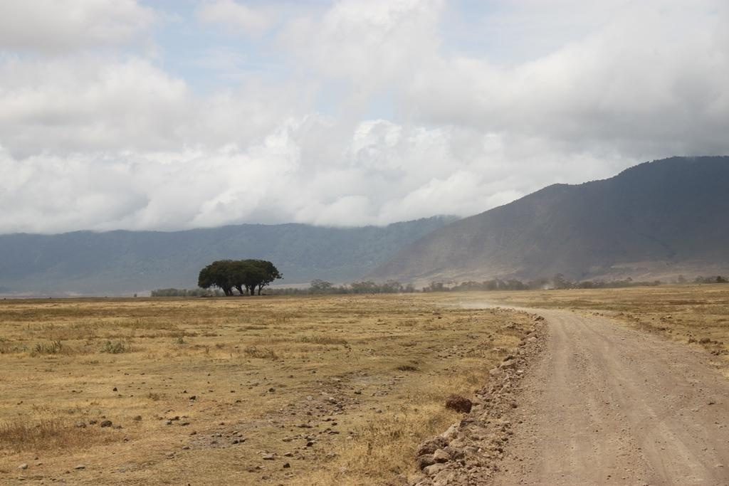 Ngorongoro Conservation Area. Andrey Filippov Photographer