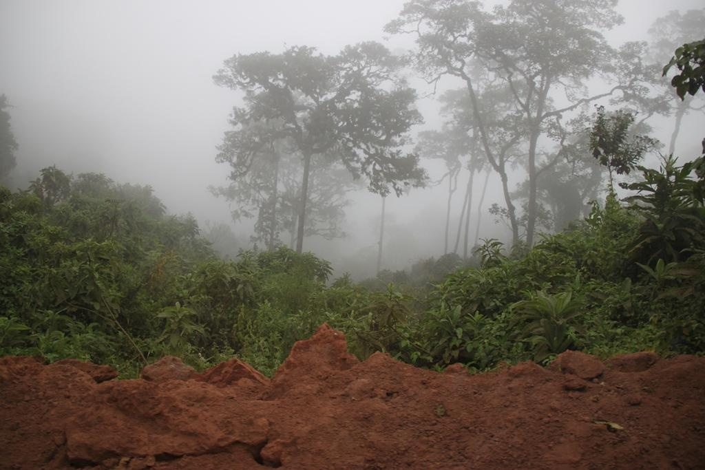 Ngorongoro Conservation Area. Andrey Filippov Photographer