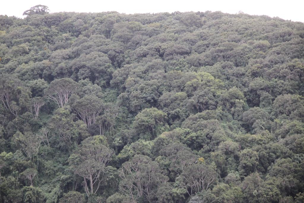 Ngorongoro Conservation Area. Andrey Filippov Photographer