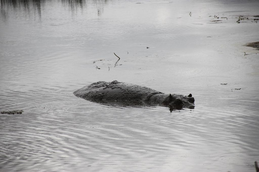 Ngorongoro Conservation Area. Andrey Filippov Photographer