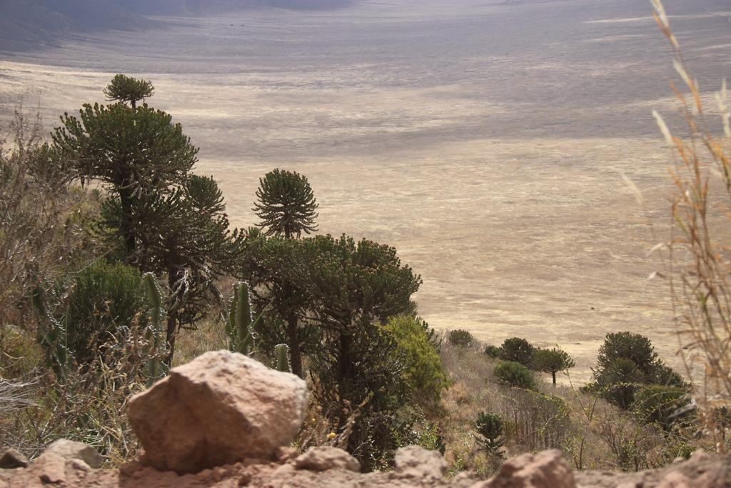 Ngorongoro Conservation Area. Andrey Filippov Photographer
