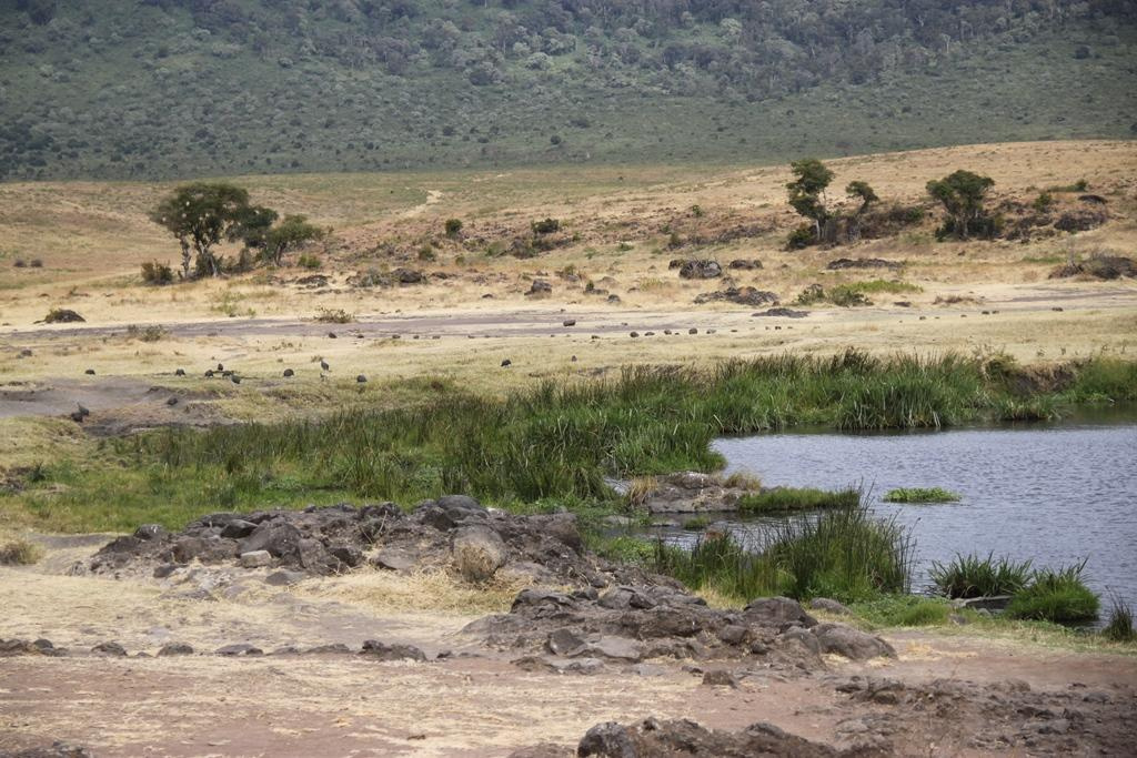 Ngorongoro Conservation Area. Andrey Filippov Photographer