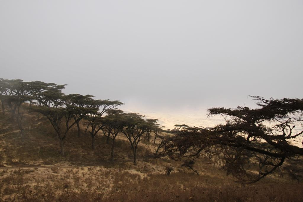 Ngorongoro Conservation Area. Andrey Filippov Photographer