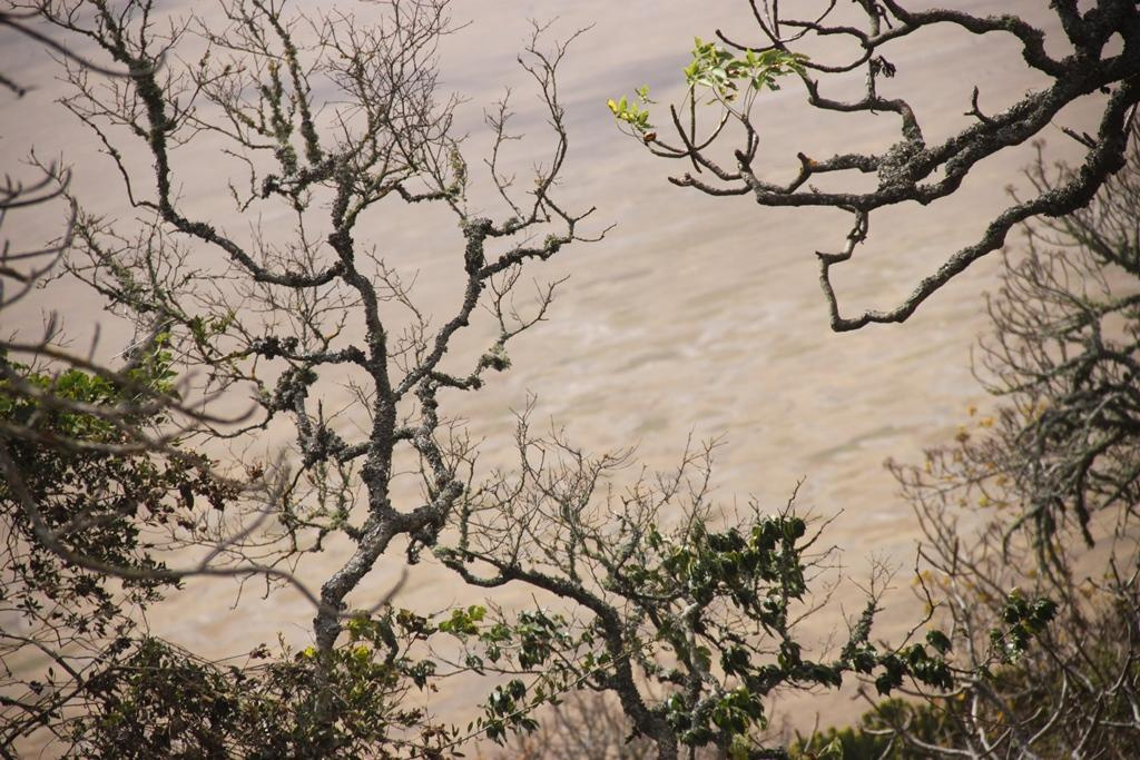 Ngorongoro Conservation Area. Andrey Filippov Photographer