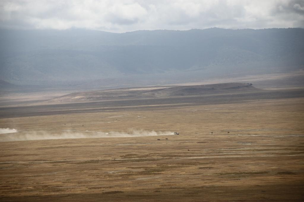 Ngorongoro Conservation Area. Andrey Filippov Photographer
