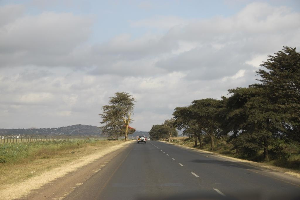 Tanzania. Andrey Filippov Photographer