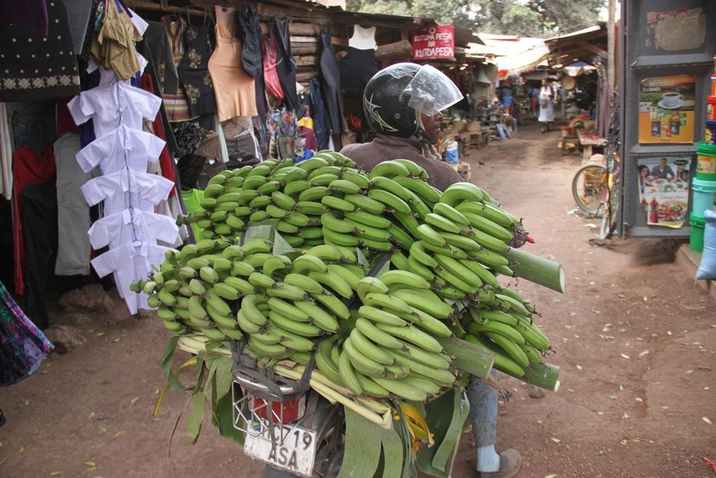 Tanzania. Andrey Filippov Photographer