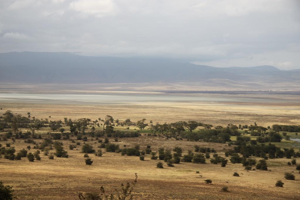 Ngorongoro Conservation Area. Andrey Filippov Photographer