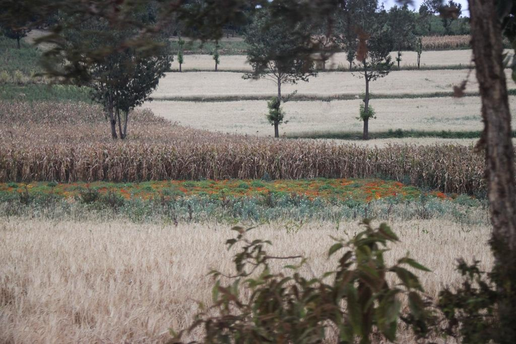 Tanzania. Andrey Filippov Photographer