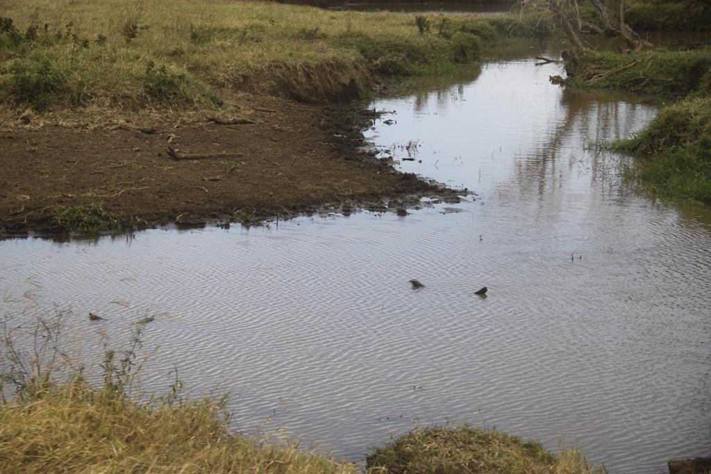 Ngorongoro Conservation Area. Andrey Filippov Photographer