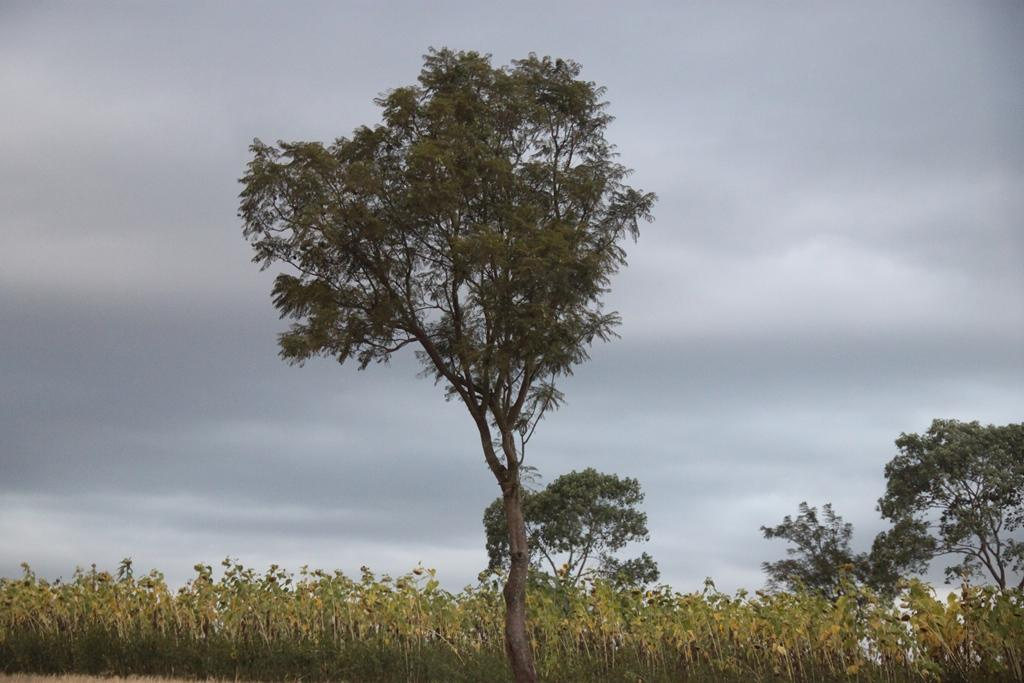 Tanzania. Andrey Filippov Photographer
