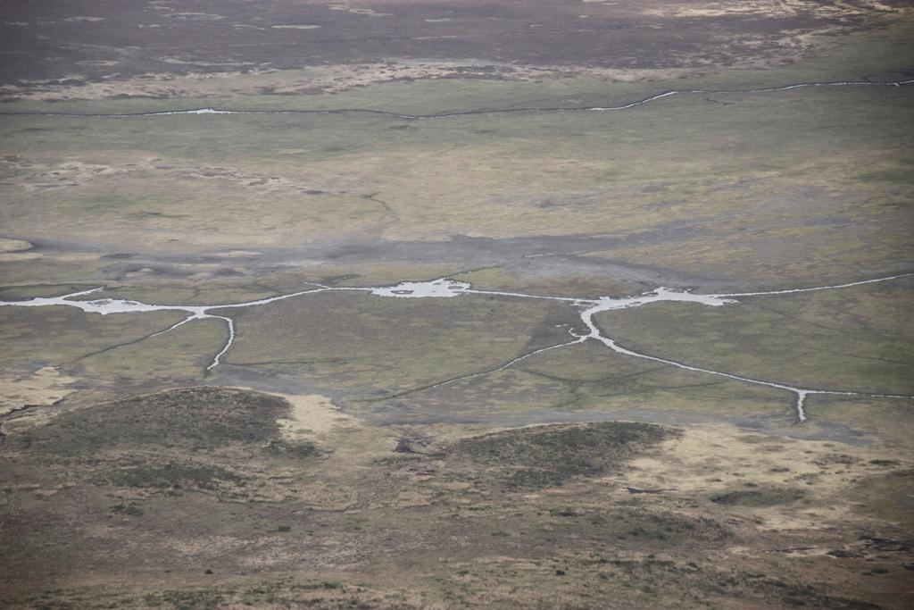 Ngorongoro Conservation Area. Andrey Filippov Photographer