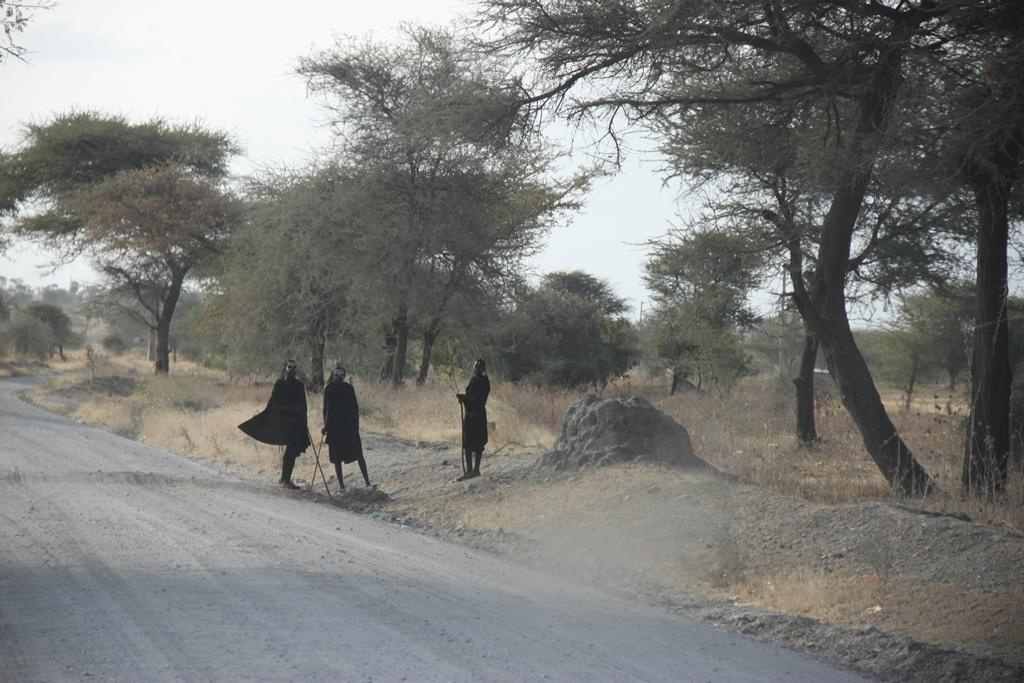 Tanzania. Andrey Filippov Photographer