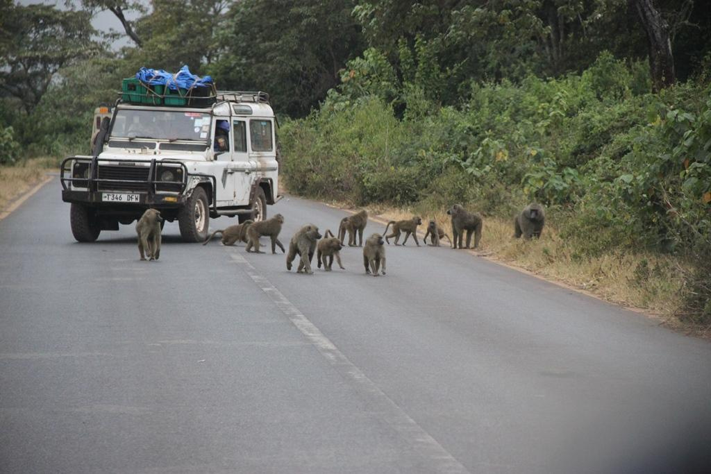 Ngorongoro Conservation Area. Andrey Filippov Photographer
