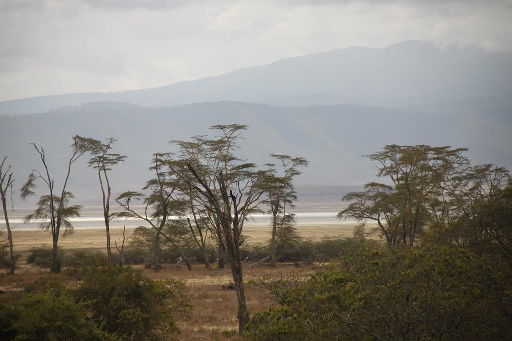 Ngorongoro Conservation Area. Andrey Filippov Photographer