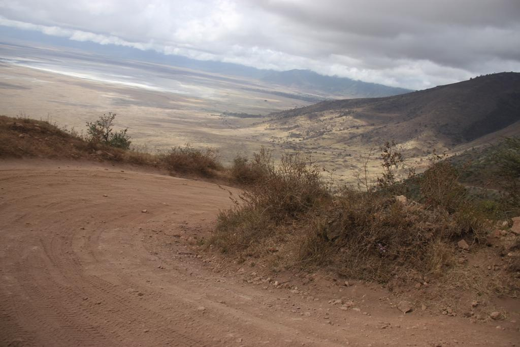 Ngorongoro Conservation Area. Andrey Filippov Photographer
