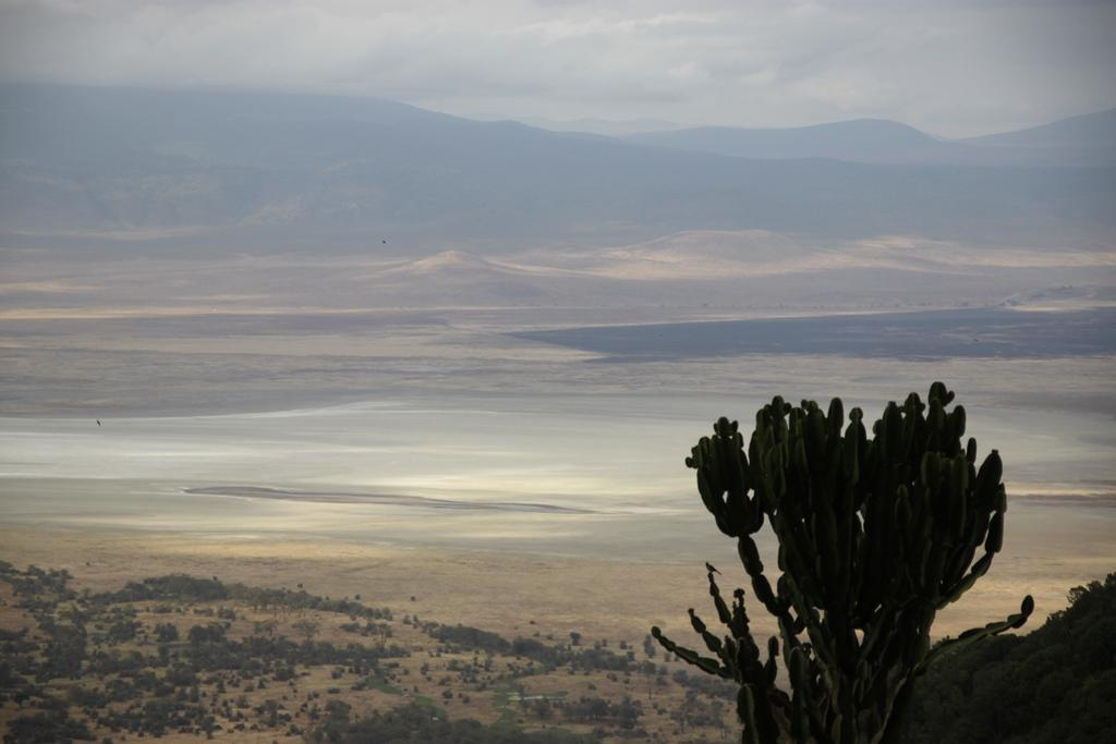 Ngorongoro Conservation Area. Andrey Filippov Photographer