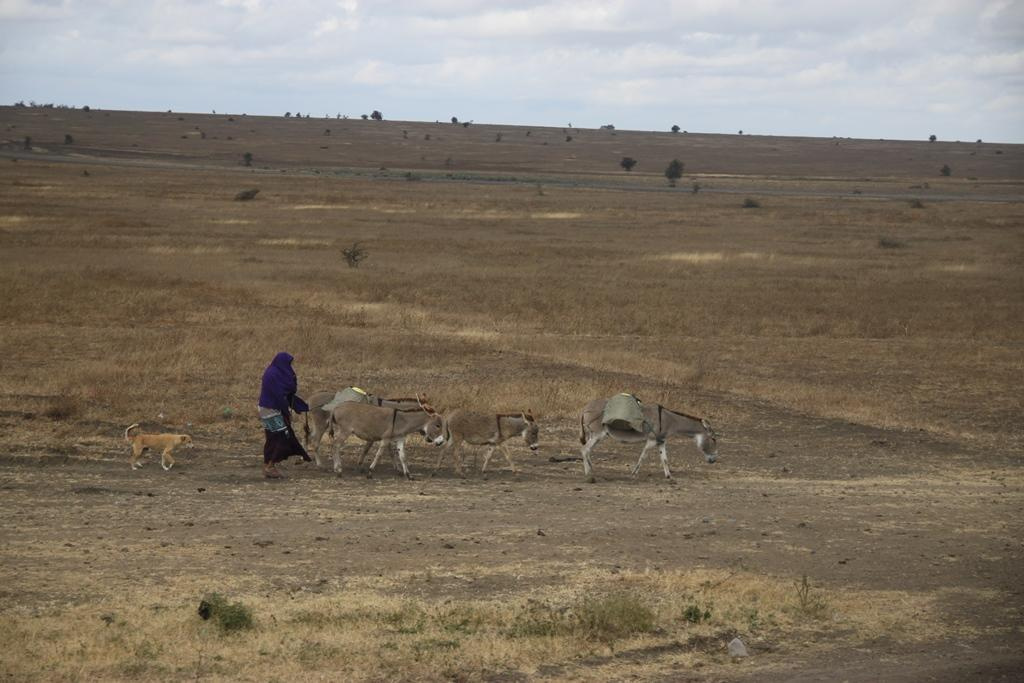 Tanzania. Andrey Filippov Photographer