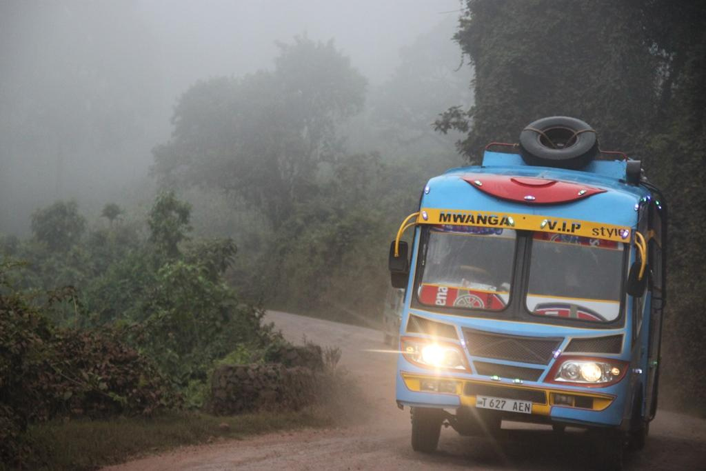 Ngorongoro Conservation Area. Andrey Filippov Photographer